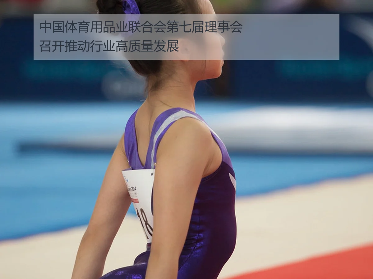 中国体育用品业联合会第七届理事会召开推动行业高质量发展